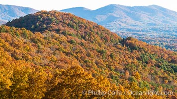 Blue Ridge Parkway Fall Colors, Asheville, North Carolina. USA, natural history stock photograph, photo id 34651