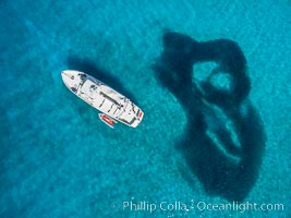 Boat Ambar and School of Fish, Ensenada el Embudo, Isla Partida, aerial photo