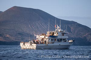 Boat Horizon near Red Cone, Guadalupe Island (Isla Guadalupe)