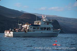 Spearfishermans floats and boat Horizon, Guadalupe Island (Isla Guadalupe)