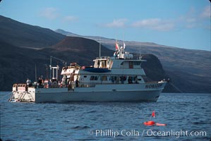 Spearfishermans floats and boat Horizon, Guadalupe Island (Isla Guadalupe)