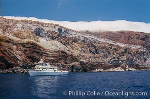 Boat Horizon anchored at Butterfly Cove, Guadalupe Island, Mexico, Guadalupe Island (Isla Guadalupe)