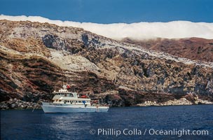 Boat Horizon anchored at Butterfly Cove, Guadalupe Island, Mexico, Guadalupe Island (Isla Guadalupe)