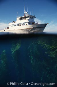 Boat Horizon anchored in kelp forest, San Clemente Island