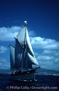 Boat Silvery Light near Sao Miguel Island