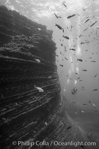 The Boiler, San Benedicto Island, Mexico, San Benedicto Island (Islas Revillagigedos)