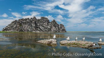 Booby Birds and Clipperton Rock, Lagoon, Clipperton Island