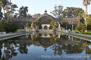 The Botanical Building in Balboa Park, San Diego.  The Botanical Building, at 250 feet long by 75 feet wide and 60 feet tall, was the largest wood lath structure in the world when it was built in 1915 for the Panama-California Exposition. The Botanical Building, located on the Prado, west of the Museum of Art, contains about 2,100 permanent tropical plants along with changing seasonal flowers. The Lily Pond, just south of the Botanical Building, is an eloquent example of the use of reflecting pools to enhance architecture. The 193 by 43 foot pond and smaller companion pool were originally referred to as Las Lagunas de las Flores (The Lakes of the Flowers) and were designed as aquatic gardens. The pools contain exotic water lilies and lotus which bloom spring through fall.  Balboa Park, San Diego