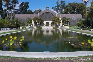 The Botanical Building in Balboa Park, San Diego.  The Botanical Building, at 250 feet long by 75 feet wide and 60 feet tall, was the largest wood lath structure in the world when it was built in 1915 for the Panama-California Exposition. The Botanical Building, located on the Prado, west of the Museum of Art, contains about 2,100 permanent tropical plants along with changing seasonal flowers. The Lily Pond, just south of the Botanical Building, is an eloquent example of the use of reflecting pools to enhance architecture. The 193 by 43 foot pond and smaller companion pool were originally referred to as Las Lagunas de las Flores (The Lakes of the Flowers) and were designed as aquatic gardens. The pools contain exotic water lilies and lotus which bloom spring through fall.  Balboa Park, San Diego