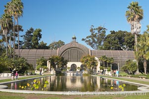 The Botanical Building in Balboa Park, San Diego.  The Botanical Building, at 250 feet long by 75 feet wide and 60 feet tall, was the largest wood lath structure in the world when it was built in 1915 for the Panama-California Exposition. The Botanical Building, located on the Prado, west of the Museum of Art, contains about 2,100 permanent tropical plants along with changing seasonal flowers. The Lily Pond, just south of the Botanical Building, is an eloquent example of the use of reflecting pools to enhance architecture. The 193 by 43 foot pond and smaller companion pool were originally referred to as Las Lagunas de las Flores (The Lakes of the Flowers) and were designed as aquatic gardens. The pools contain exotic water lilies and lotus which bloom spring through fall.  Balboa Park, San Diego