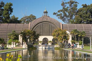 The Botanical Building in Balboa Park, San Diego.  The Botanical Building, at 250 feet long by 75 feet wide and 60 feet tall, was the largest wood lath structure in the world when it was built in 1915 for the Panama-California Exposition. The Botanical Building, located on the Prado, west of the Museum of Art, contains about 2,100 permanent tropical plants along with changing seasonal flowers. The Lily Pond, just south of the Botanical Building, is an eloquent example of the use of reflecting pools to enhance architecture. The 193 by 43 foot pond and smaller companion pool were originally referred to as Las Lagunas de las Flores (The Lakes of the Flowers) and were designed as aquatic gardens. The pools contain exotic water lilies and lotus which bloom spring through fall.  Balboa Park, San Diego