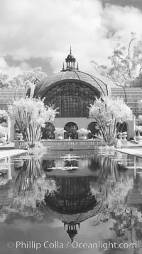 The Botanical Building in Balboa Park, San Diego. The Botanical Building, at 250 feet long by 75 feet wide and 60 feet tall, was the largest wood lath structure in the world when it was built in 1915 for the Panama-California Exposition. The Botanical Building, located on the Prado, west of the Museum of Art, contains about 2,100 permanent tropical plants along with changing seasonal flowers. The Lily Pond, just south of the Botanical Building, is an eloquent example of the use of reflecting pools to enhance architecture. The 193 by 43 foot pond and smaller companion pool were originally referred to as Las Lagunas de las Flores (The Lakes of the Flowers) and were designed as aquatic gardens. The pools contain exotic water lilies and lotus which bloom spring through fall