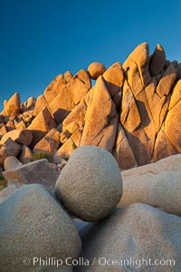 Boulders and sunset in Joshua Tree National Park.  The warm sunlight gently lights unusual boulder formations at Jumbo Rocks in Joshua Tree National Park, California