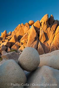 Boulders and sunset in Joshua Tree National Park.  The warm sunlight gently lights unusual boulder formations at Jumbo Rocks in Joshua Tree National Park, California