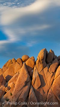 Boulders and sunset in Joshua Tree National Park.  The warm sunlight gently lights unusual boulder formations at Jumbo Rocks in Joshua Tree National Park, California