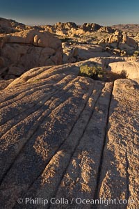 Boulders and sunset in Joshua Tree National Park.  The warm sunlight gently lights unusual boulder formations at Jumbo Rocks in Joshua Tree National Park, California