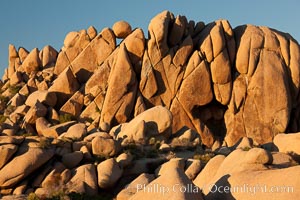 Boulders and sunset in Joshua Tree National Park.  The warm sunlight gently lights unusual boulder formations at Jumbo Rocks in Joshua Tree National Park, California