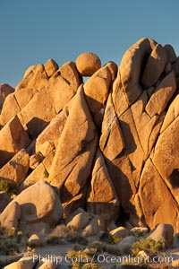Boulders and sunset in Joshua Tree National Park.  The warm sunlight gently lights unusual boulder formations at Jumbo Rocks in Joshua Tree National Park, California. USA, natural history stock photograph, photo id 26781