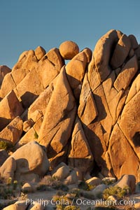 Boulders and sunset in Joshua Tree National Park.  The warm sunlight gently lights unusual boulder formations at Jumbo Rocks in Joshua Tree National Park, California