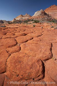 Geometric joints and cracks form in eroding sandstone, North Coyote Buttes, Arizona.