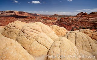 Brain rocks, curious sandstone formations in the North Coyote Buttes. Paria Canyon-Vermilion Cliffs Wilderness, Arizona, USA, natural history stock photograph, photo id 20611
