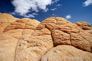 Brain rocks, curious sandstone formations in the North Coyote Buttes, Paria Canyon-Vermilion Cliffs Wilderness, Arizona