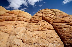 Brain rocks, curious sandstone formations in the North Coyote Buttes, Paria Canyon-Vermilion Cliffs Wilderness, Arizona