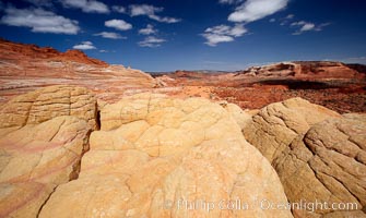 Brain rocks, curious sandstone formations in the North Coyote Buttes, Paria Canyon-Vermilion Cliffs Wilderness, Arizona