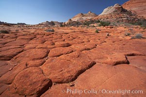 Geometric joints and cracks form in eroding sandstone, North Coyote Buttes, Paria Canyon-Vermilion Cliffs Wilderness, Arizona