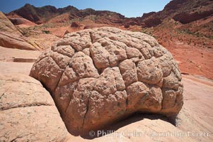 Brain rocks.  Sandstone is curiously eroded through the forces water and wind acting over eons.  Cracks and joints arise when water freezes and expands repeatedly, braking apart the soft sandstone, North Coyote Buttes, Paria Canyon-Vermilion Cliffs Wilderness, Arizona