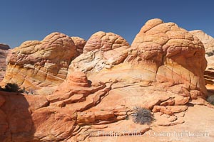 Brain rocks.  Sandstone is curiously eroded through the forces water and wind acting over eons.  Cracks and joints arise when water freezes and expands repeatedly, braking apart the soft sandstone, North Coyote Buttes, Paria Canyon-Vermilion Cliffs Wilderness, Arizona