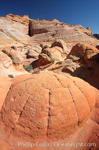 Brain rocks.  Sandstone is curiously eroded through the forces water and wind acting over eons.  Cracks and joints arise when water freezes and expands repeatedly, braking apart the soft sandstone, North Coyote Buttes, Paria Canyon-Vermilion Cliffs Wilderness, Arizona