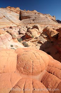 Brain rocks.  Sandstone is curiously eroded through the forces water and wind acting over eons.  Cracks and joints arise when water freezes and expands repeatedly, braking apart the soft sandstone, North Coyote Buttes, Paria Canyon-Vermilion Cliffs Wilderness, Arizona