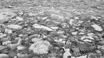 Brash ice, Weddell Sea, Death Valley National Park, California