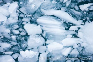 Brash ice floats on cold, dark Antarctic waters, Cierva Cove