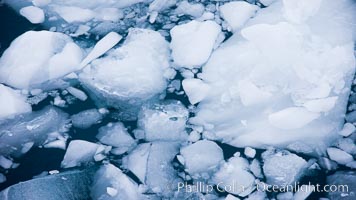 Brash ice floats on cold, dark Antarctic waters, Cierva Cove