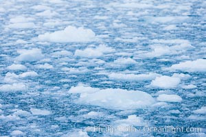 Brash ice and pack ice in Antarctica.  Brash ices fills the ocean waters of Cierva Cove on the Antarctic Peninsula.  The ice is a mix of sea ice that has floated near shore on the tide and chunks of ice that have fallen into the water from nearby land-bound glaciers