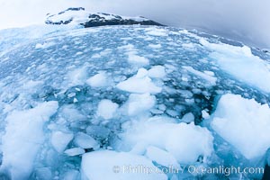 Brash ice and pack ice in Antarctica.  Brash ices fills the ocean waters of Cierva Cove on the Antarctic Peninsula.  The ice is a mix of sea ice that has floated near shore on the tide and chunks of ice that have fallen into the water from nearby land-bound glaciers