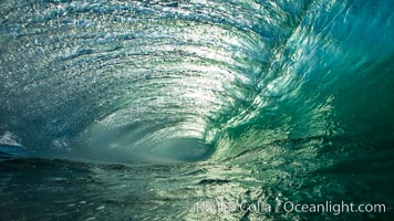 Breaking wave, morning, barrel shaped surf, California. The Wedge, Newport Beach, USA, natural history stock photograph, photo id 27986