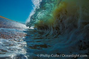 Breaking wave, morning, barrel shaped surf, California, The Wedge, Newport Beach