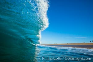 Breaking wave, morning, barrel shaped surf, California