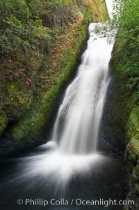 Bridal Veil Falls, a 140 foot fall in the Columbia River Gorge, is not to be confused with the more famous Bridalveil Falls in Yosemite National Park, Columbia River Gorge National Scenic Area, Oregon