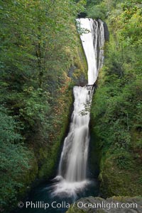 Bridal Veil Falls, a 140 foot fall in the Columbia River Gorge, is not to be confused with the more famous Bridalveil Falls in Yosemite National Park, Columbia River Gorge National Scenic Area, Oregon