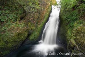 Bridal Veil Falls, a 140 foot fall in the Columbia River Gorge, is not to be confused with the more famous Bridalveil Falls in Yosemite National Park, Columbia River Gorge National Scenic Area, Oregon