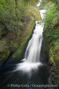 Bridal Veil Falls, a 140 foot fall in the Columbia River Gorge, is not to be confused with the more famous Bridalveil Falls in Yosemite National Park, Columbia River Gorge National Scenic Area, Oregon