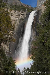 Bridalveil Falls with a rainbow forming in its spray, dropping 620 into Yosemite Valley, displaying peak water flow in spring months from deep snowpack and warm weather melt.  Yosemite Valley, Yosemite National Park, California