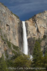 Bridalveil Falls drops 620 through a hanging valley, shown here at peak water flow in spring months from deep snowpack and warm weather melt.  Yosemite Valley, Yosemite National Park, California