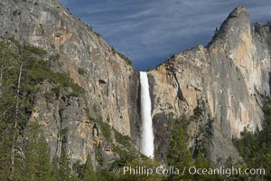 Bridalveil Falls drops 620 through a hanging valley, shown here at peak water flow in spring months from deep snowpack and warm weather melt.  Yosemite Valley, Yosemite National Park, California