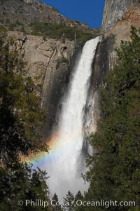 Bridalveil Falls with a rainbow forming in its spray, dropping 620 into Yosemite Valley, displaying peak water flow in spring months from deep snowpack and warm weather melt.  Yosemite Valley, Yosemite National Park, California