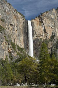 Bridalveil Falls drops 620 through a hanging valley, shown here at peak water flow in spring months from deep snowpack and warm weather melt.  Yosemite Valley, Yosemite National Park, California